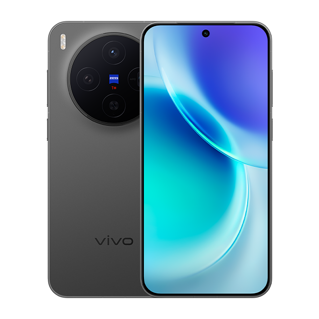 vivo X300